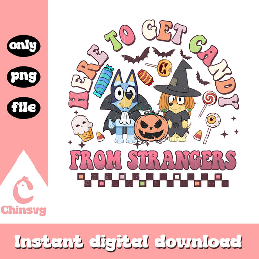 Here to get candy from strangers png, Bluey halloween png